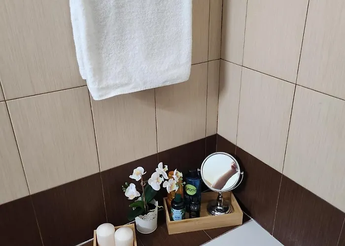 アパート Maestro Iii