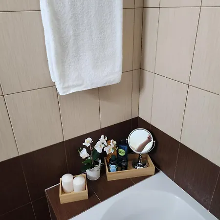 Apartament Maestro Iii